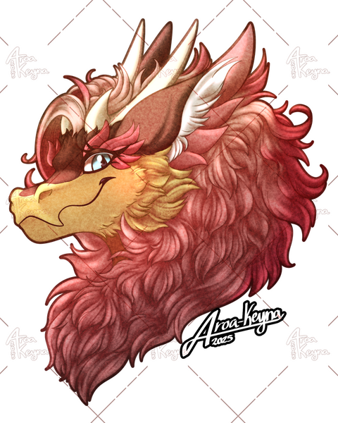 Eliora 2025 Eliora 2025