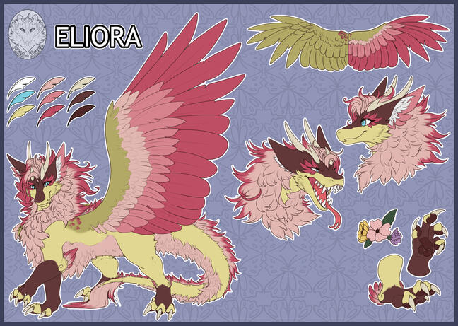 Eliora Reference Eliora Reference